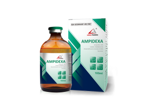 Ampicillin 10%+Colistin 250000IU/ml+Dexamethasone Acetate 0.05% Injection