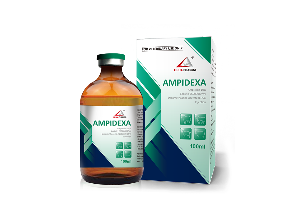 10+250000IU+0.05氨苄西林+硫酸粘菌素+地塞米松醋酸酯注射液