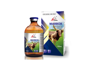 Marbofloxacin Injection 10%