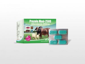 Manufacturer for Albendazole Bolus 2500 Mg - Albendazole Bolus 2500mg – Lihua