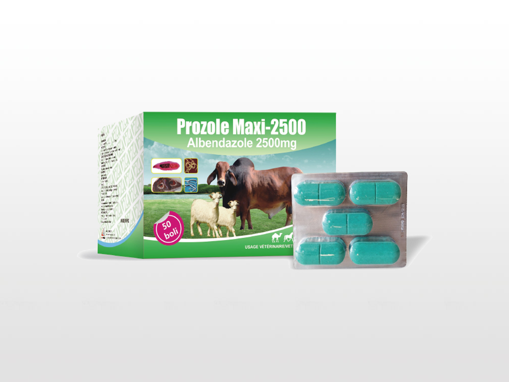2018 China New Design Ivermectin Tablet Bolus - Albendazole Bolus 2500mg – Lihua