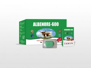 Manufacturer for Albendazole Bolus 2500 Mg - Albendazole Bolus 600mg – Lihua