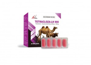 Tetramisole + Oxyclozanide Bolus 450mg + 450mg