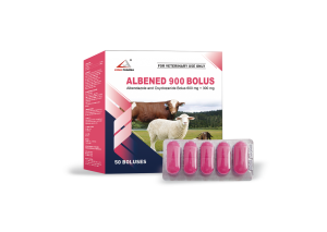 Albendazole and Oxyclozanide Bolus 600 mg + 300 mg