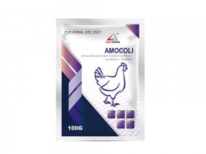 AMOCOLI