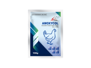 Amoxicillin+Colistin Sulfate Powder  20 g+80 MIU