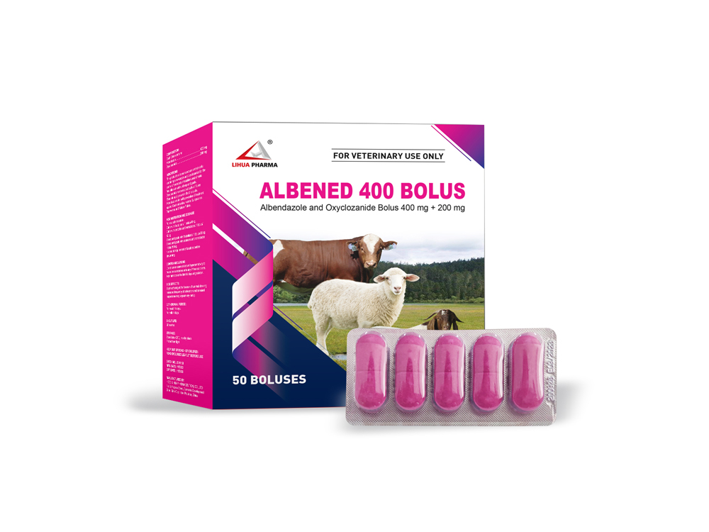 Albendazole and Oxyclozanide Bolus