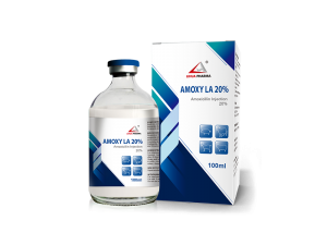 Amoxicillin Injection 20%
