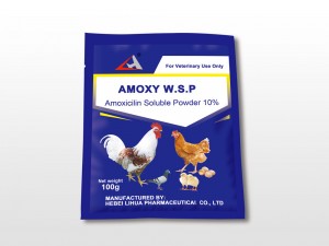 Amoxicillin Soluble Powder 10%