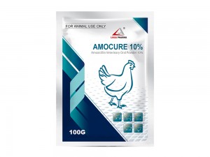 Amoxicillin Soluble Powder 10%