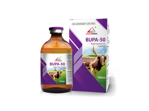 Buparvaquone Injection 5%