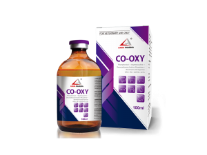 CO-OXY