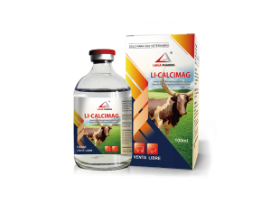 Calcium Borogluconate and Magnesium Hypophosphite Hexahydrate  Injection 40%+5%