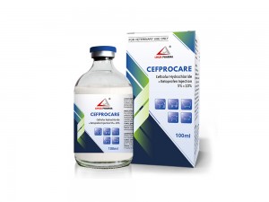 Ceftiofur Hydrochloride + Ketoprofen Injection 5% + 10%