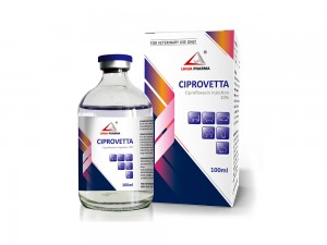 Ciprofloxacin Injection 10%