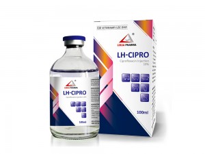 Ciprofloxacin Injection 10%
