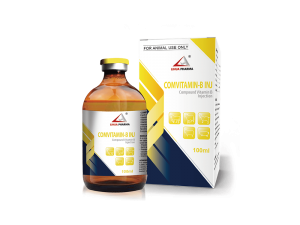 Compound Vitamin B Injection