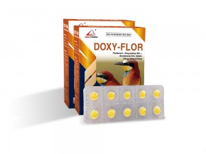 Florfenicol + Doxycycline HCl + Bromhexine HCl Tablets 20mg+10mg+0.04mg