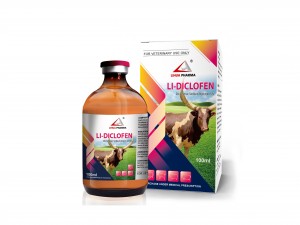 Diclofenac Sodium Injection 5%