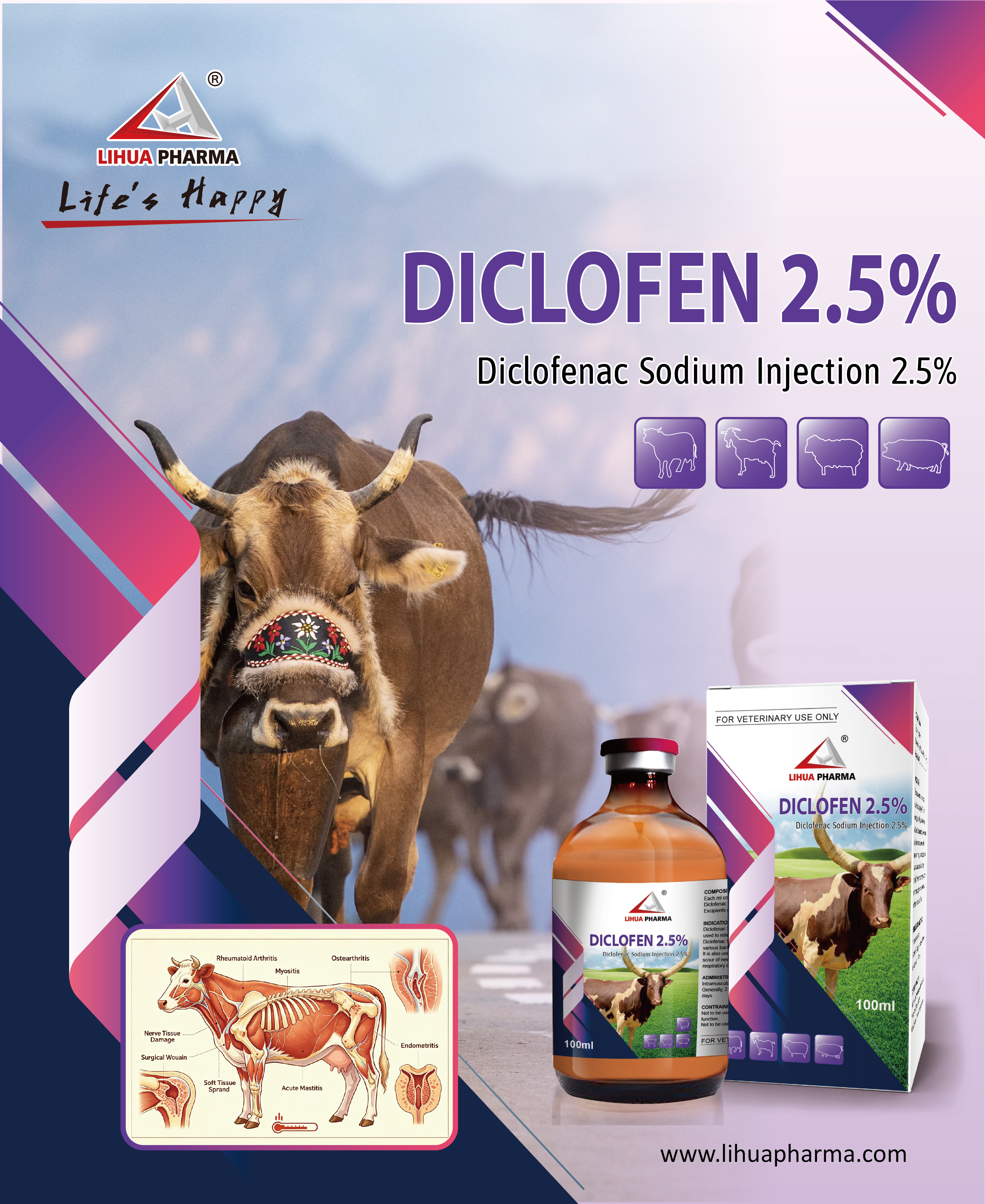 Diclofenac Sodium Injection: Reliable Relief for Inflammation, Pain & Fever in Animals