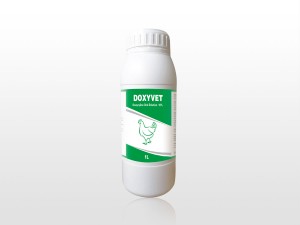 Doxycycline Oral Solution 10%
