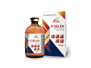 Vitamin E + Sodium Selenite Injection  10% + 0.2%