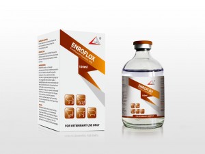 Top Quality Tylosin Injection For Sheep - Enrofloxacin Injection 10% – Lihua