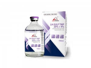 Sulfadimidine and TMP Injection 20%+4%