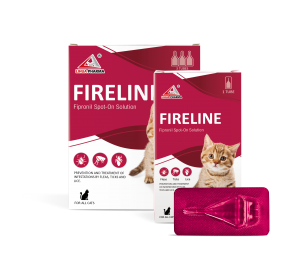 Fipronil Spot-on Instructions for cats