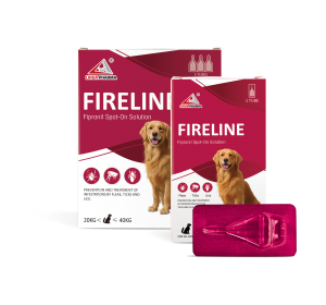Fipronil Spot-on Instructions for dogs