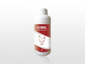Florfenicol Oral Solution 5%