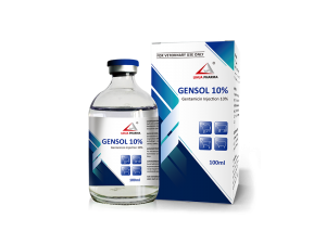 Gentamicin Injection 10%