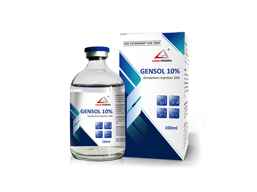 Gentamicin Injection 10