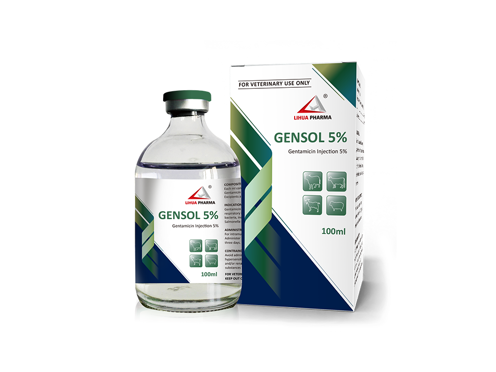 Gentamicin Injection 5