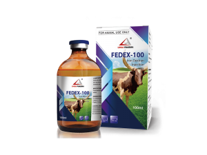 Iron Dextran Injection 10%
