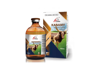 Kanamycin Sulfate Injection 5%