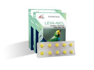 LEVA-NICL-300x225