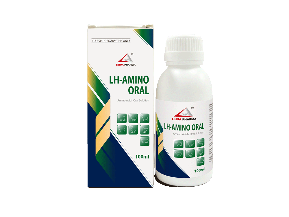 LH-AMINO ORAL