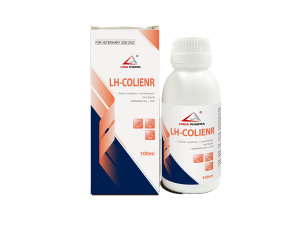 Colistin Sulphate + Enrofloxacin Oral liquid 1000000IU/ml + 10%