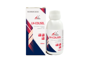 Colistin Sulphate + Enrofloxacin Oral liquid 1200000IU/ml + 10%