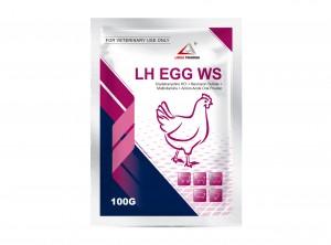 Oxytetracycline HCl + Neomycin Sulfate + Multivitamins + Amino Acids Oral Powder