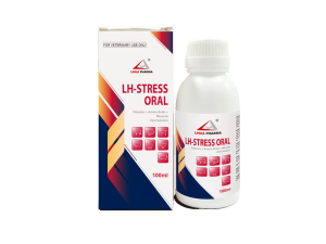 Vitamins + Amino Acids + Minerals Oral Solution