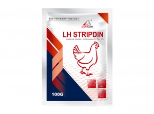 Streptomycin Sulphate + Oxytetracycline HCL 5% + 10%