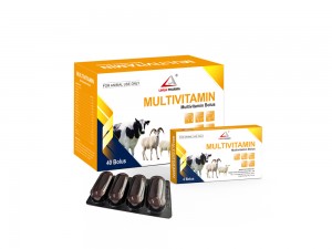 Multivitamin Bolus