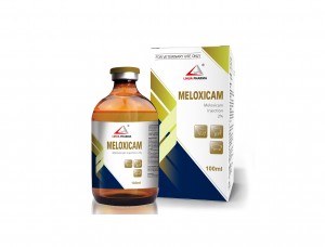 Meloxicam Injection 2%