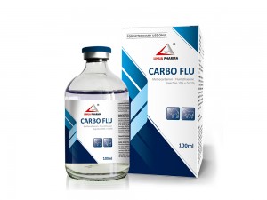 Methocarbamol + Flumethasone  Injection 10% + 0.01%