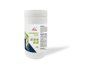 Multivitamin + Mineral Premix