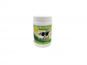 Multivitamin Bolus