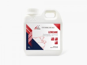 Oxyclozanide + Levamisole