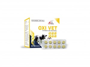 Oxytetracycline  Bolus 250mg